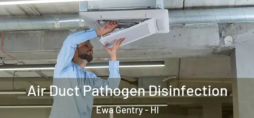  Air Duct Pathogen Disinfection Ewa Gentry - HI