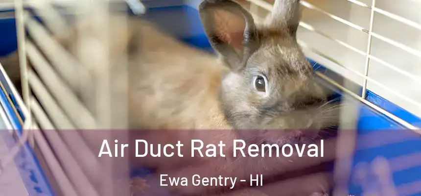 Air Duct Rat Removal Ewa Gentry - HI