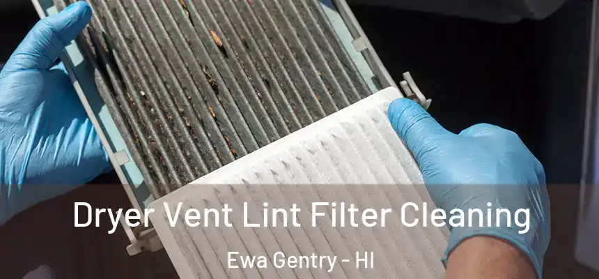  Dryer Vent Lint Filter Cleaning Ewa Gentry - HI