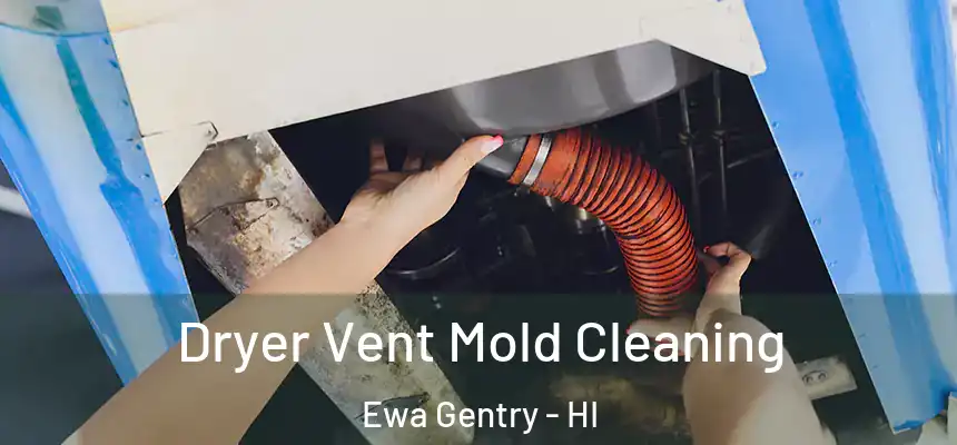  Dryer Vent Mold Cleaning Ewa Gentry - HI