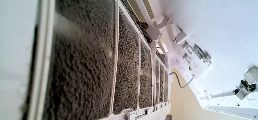 Preventive Air Duct Bacteria Removal in Ewa Gentry