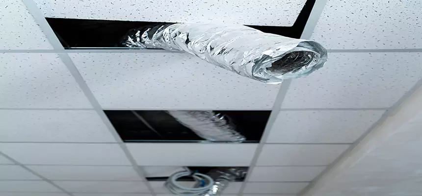 Our Air Duct Pet Hair Removal Services in Ewa Gentry, HI