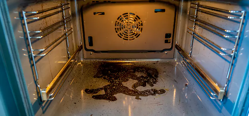 Our Air Purifier Installation Services in Ewa Gentry, HI