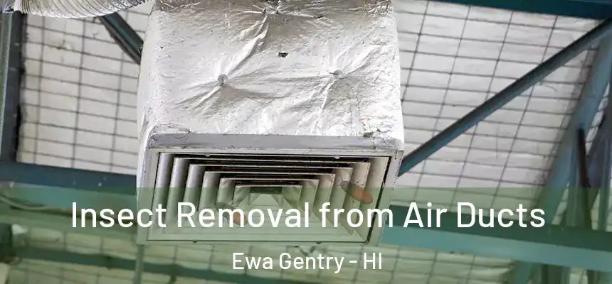  Insect Removal from Air Ducts Ewa Gentry - HI
