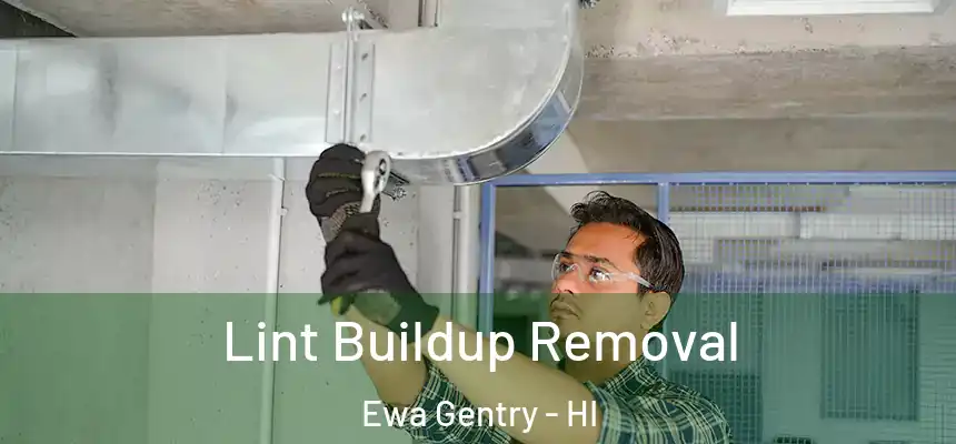  Lint Buildup Removal Ewa Gentry - HI