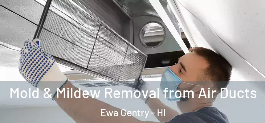  Mold & Mildew Removal from Air Ducts Ewa Gentry - HI