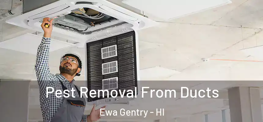  Pest Removal From Ducts Ewa Gentry - HI