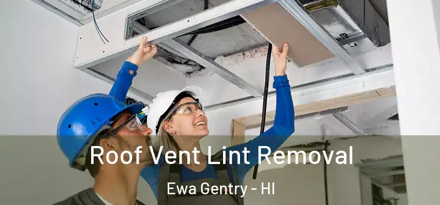  Roof Vent Lint Removal Ewa Gentry - HI