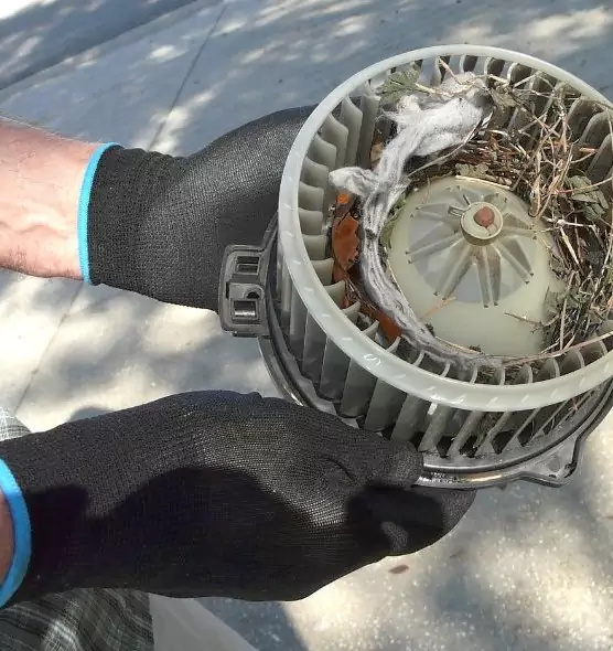 About Air Duct Mice Removal in Ewa Gentry, HI