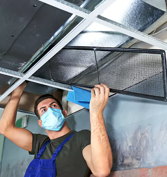 Professional Air Duct Pollen Cleaning in Ewa Gentry, HI