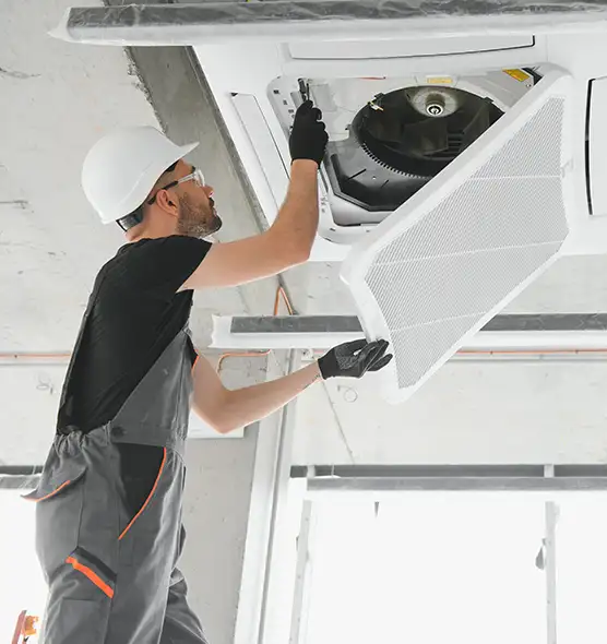 About Air Duct Rodent Removal in Ewa Gentry, HI