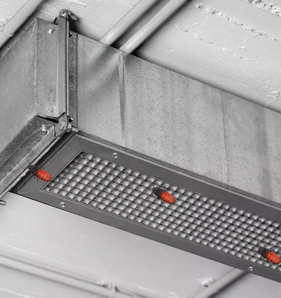 Affordable Insect Removal from Air Ducts in Ewa Gentry, HI