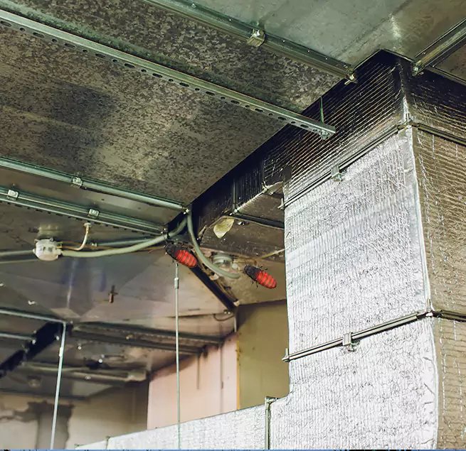 Why Homeowners & Businesses Trust Us in Ewa Gentry, HI?