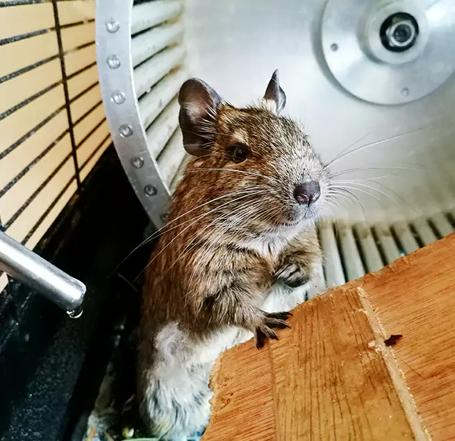 Why Homeowners & Businesses Trust Us Ewa Gentry, HI