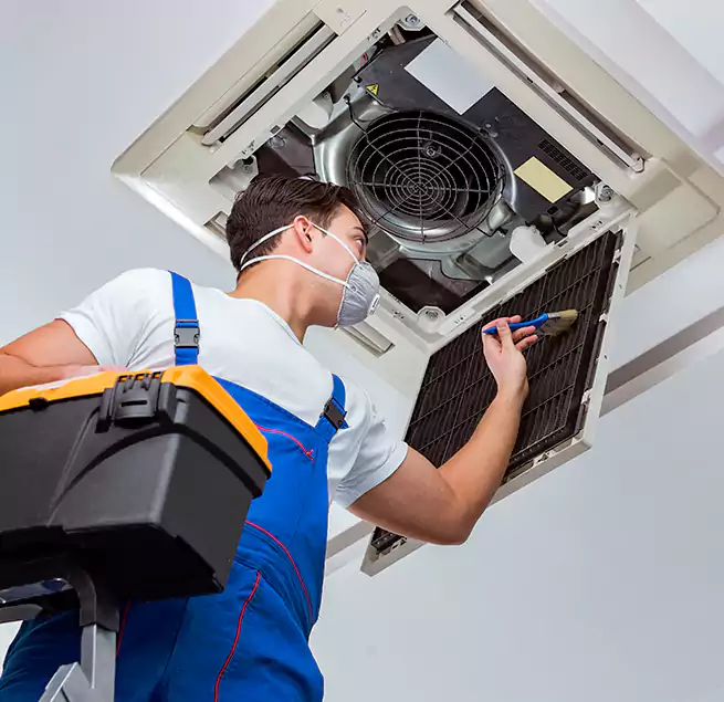 Why Homeowners & Businesses Trust Us in Ewa Gentry, HI