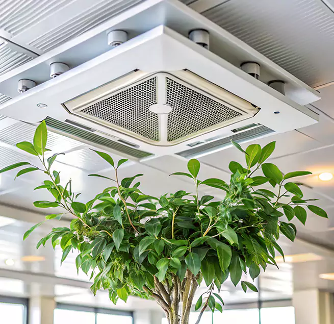 Why Homeowners & Businesses Trust Us in Ewa Gentry, HI?