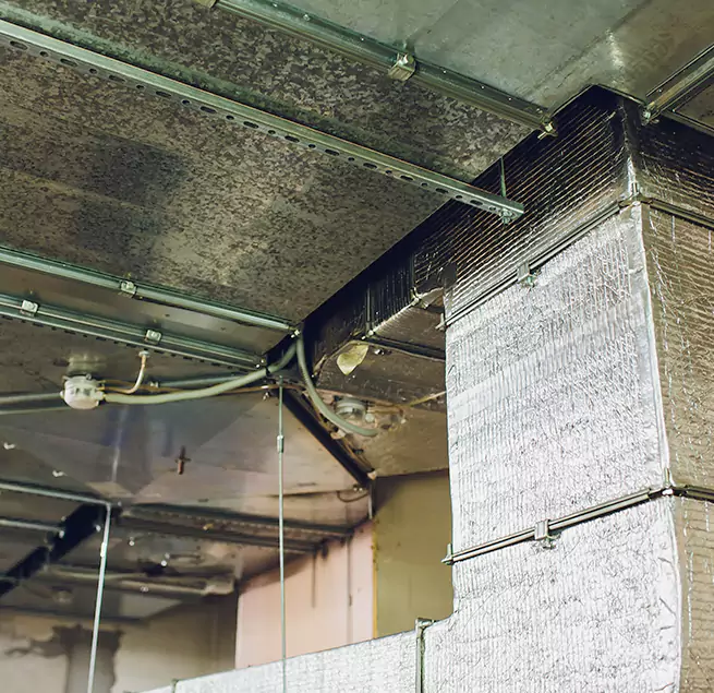 Why Homeowners & Businesses Trust Us in Ewa Gentry, HI?