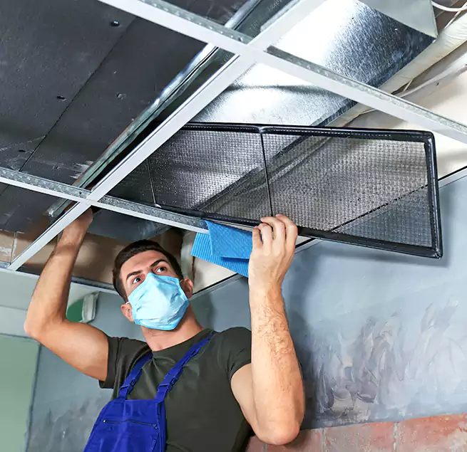 Why Homeowners Businesses Trust Us in Ewa Gentry, HI